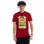 ⁦تيشرت رجالي نص كم حوض قطن - نبيتي⁩ - الصورة ⁦5⁩